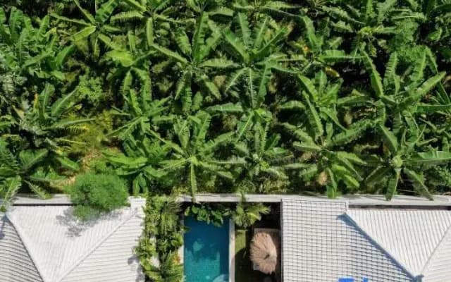 1BR Private Pool Villa Kepompong