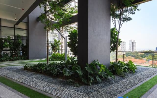 Tropicana 218 Macalister By Stayla