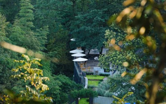 Qingcheng Mountain Just on the Stream · Mountain Stream Bamboo Forest Private Soup B&B