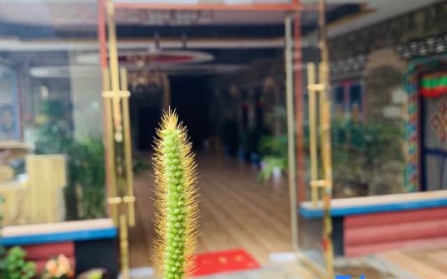Guilan Xiaolu Hostel
