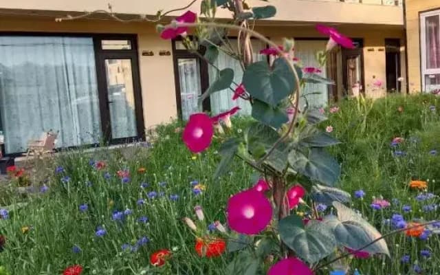 Nalati South Lane Homestay