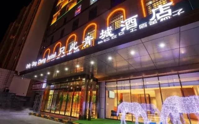 Zhichiqingcheng Hotel (Hohhot Wanda International Exhibition Center)