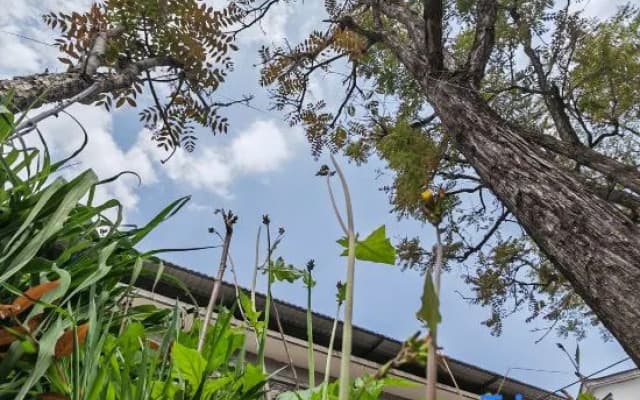 Homestays in the distance of Maiji Mountain