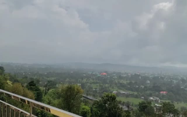 Serene Vista