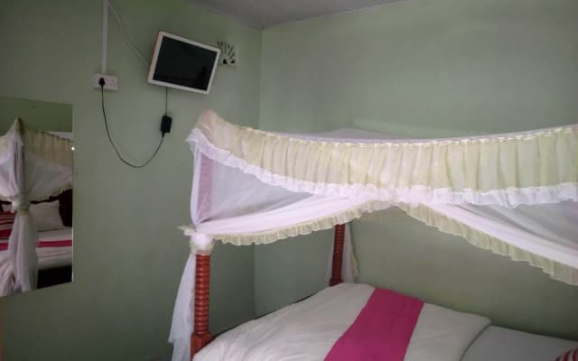 Canary Guest House