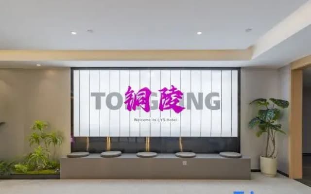 Lisi Future Hotel (Tongling Beidouxing City Government)
