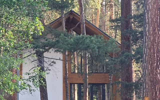 Частный дом  В соснах на берегу реки Баксан