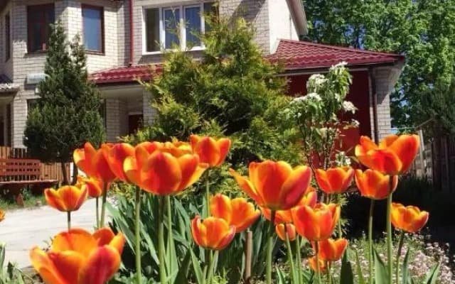 Гостевой дом Homey Home