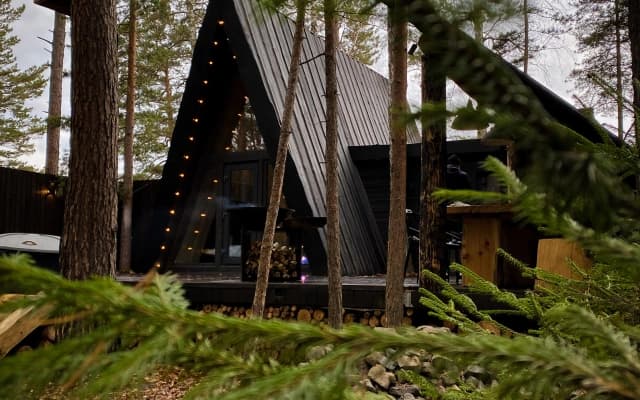 Шале Shalash & Forest
