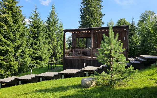 Коттедж Черничный Склон Wood House