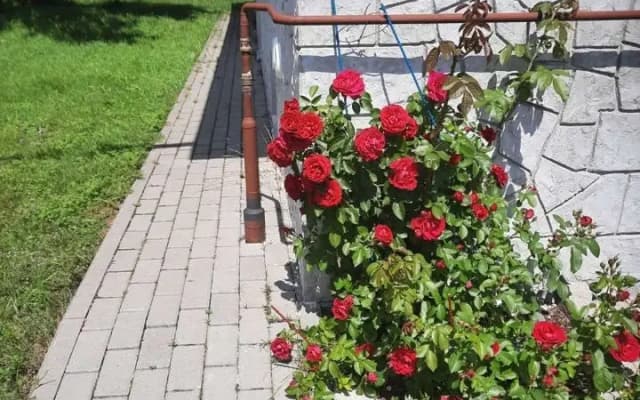 Частный дом Отдых в пригороде Калининграда