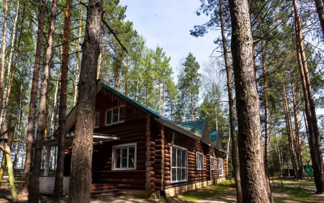 Частный дом в лесу у реки Пра на первой береговой линии