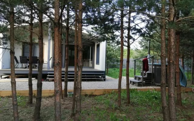 Частный дом СвояДача в сосновом лесу
