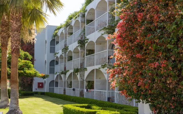Desert Rose Resort