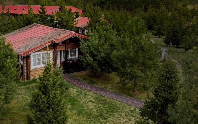 Отель Fish Point Family Resort (Золотой сазан)