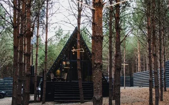 Частный дом Хвоя Темный