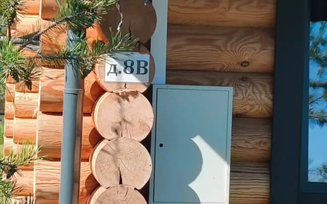 Частный дом в поселке Разливы-1