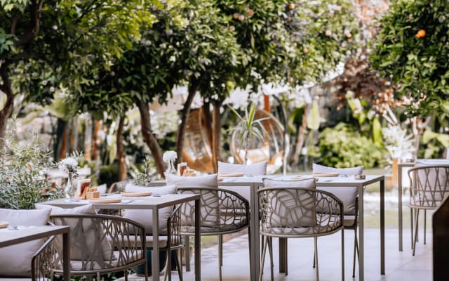 Отель Casa Sur Antalya