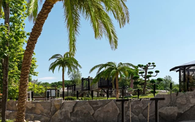 Гостиничный комплекс Dolphin Planet Hotel & SPA