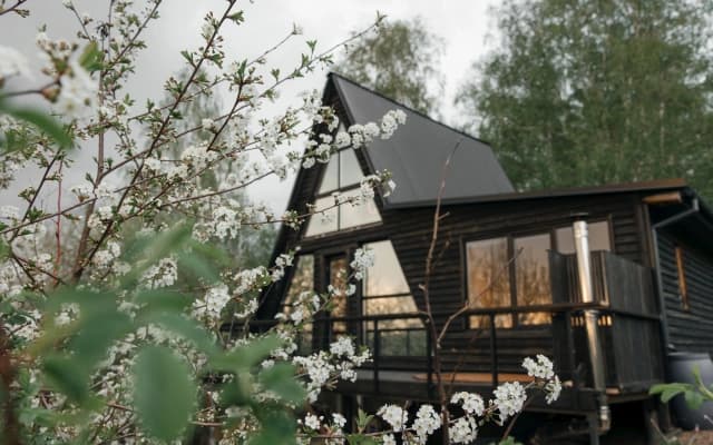 Частный дом Черный Русский A-Frame дом с видом на город и березовую рощу