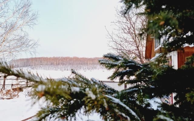 Частный дом Загородный на озере