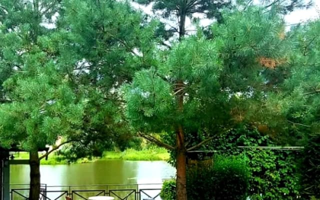 Частный дом Cottage Kld на Берегу Озера с Шикарной Беседкой на Воде