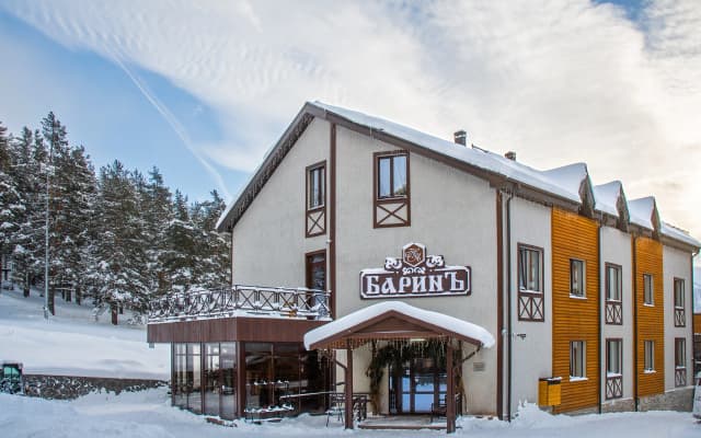 Отель Гостиница БаринЪ