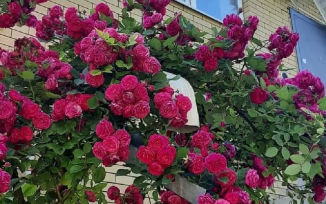 Гостевой дом На Спокойном переулке