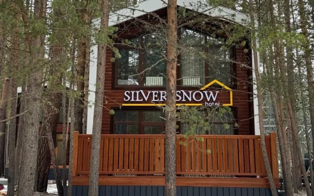 Гостевой дом Silver Snow Barn