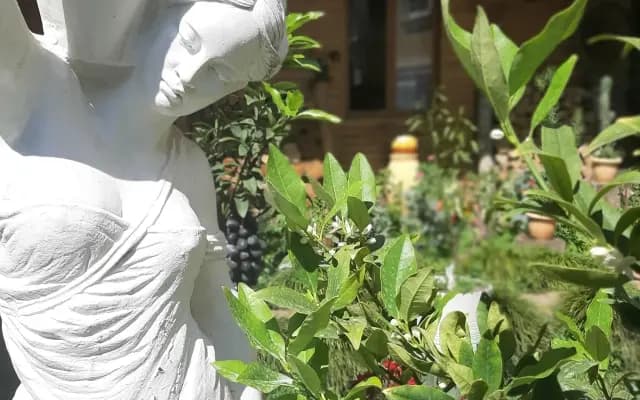 Меблированные комнаты На Луговой