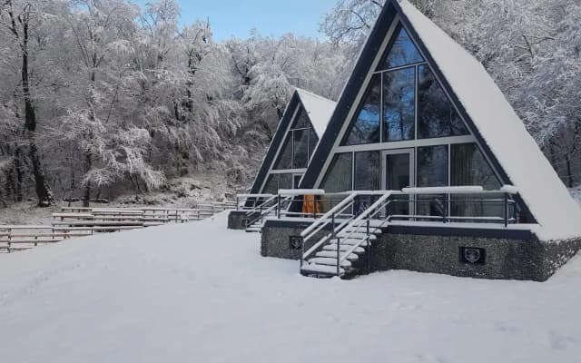 Шале A-Frame Forrest