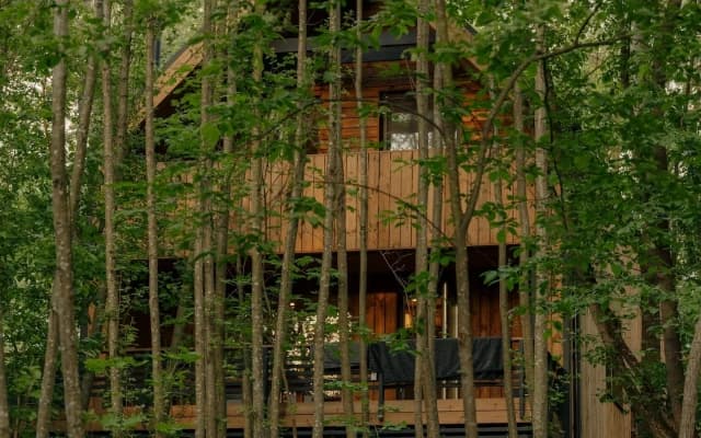 Барнхаус ЗвенДзен Barn Max 3 Безликий