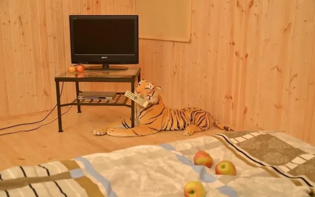 Markovo Holiday Home