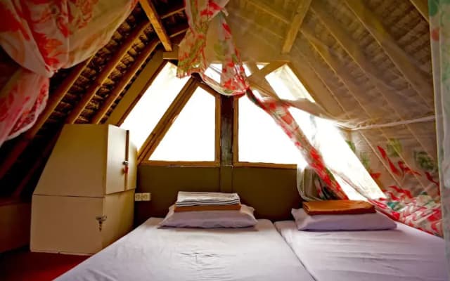 The Rabbit Tree - Hostel