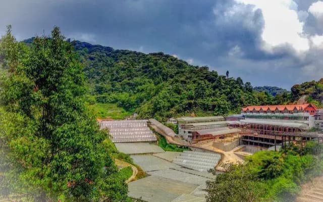 Holiday Accommodation Cameron Highlands