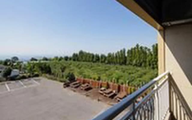 Seogwipo lacomma pension