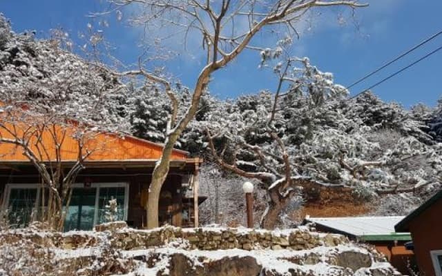 Blue Sky Pension