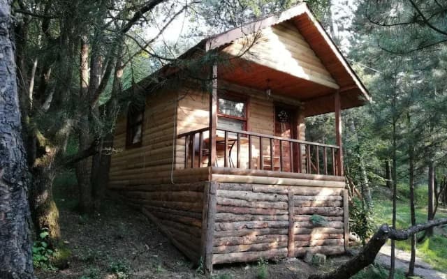 Mengen Cam Pinari Doga Evleri & Restaurant