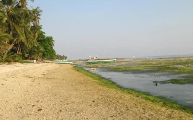 Treasure Island Beach Bungalows