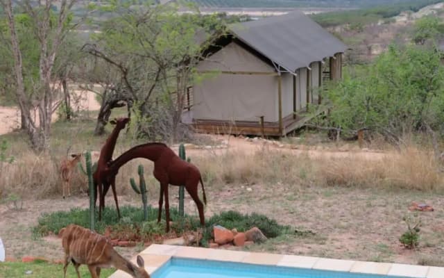 Ndhula Luxury Tented Lodge