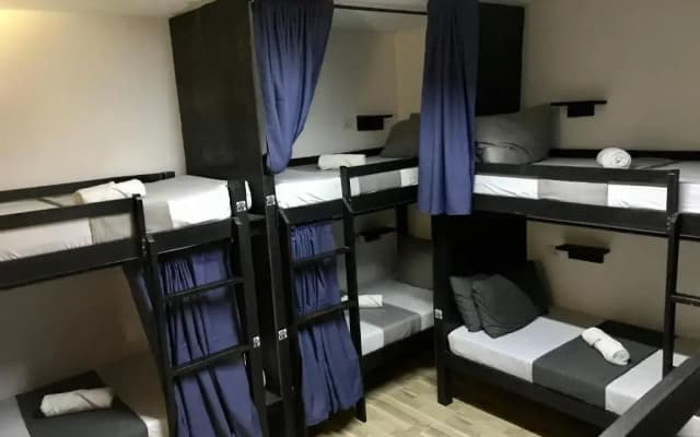 Crazy Bears Hostel