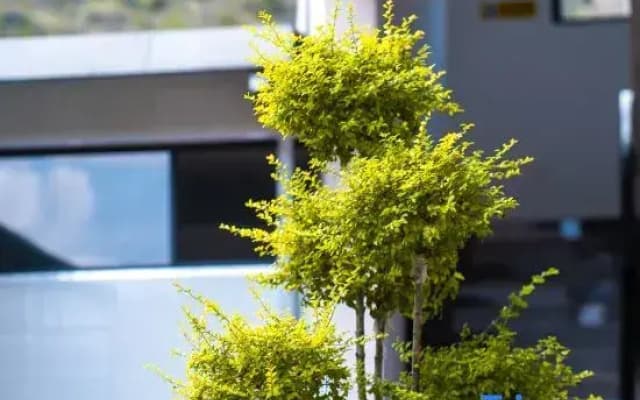 Xiangwei to foam sea view beauty accommodation (Dali Erhai small Putuo store)