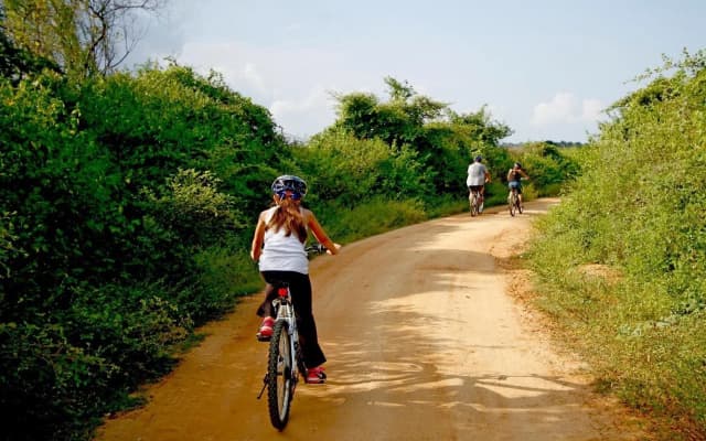 The Yala Camping