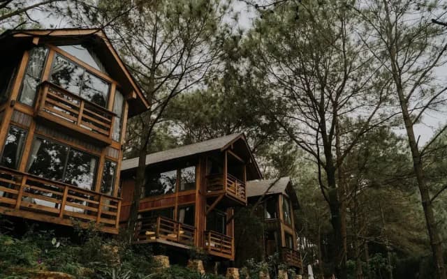 Amaya Retreat