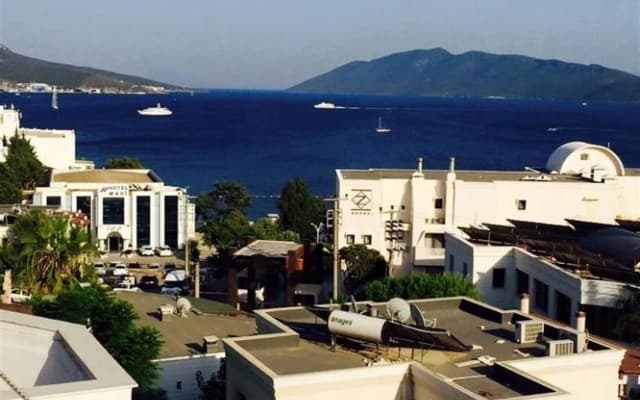 3 Odalar