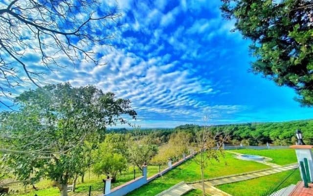 Green Roof Boutique Hotel & SPA