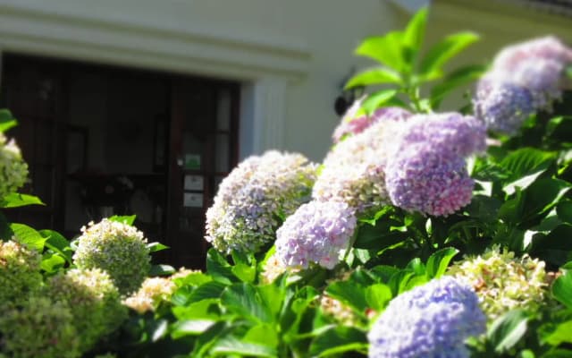 Aan de Oever Guesthouse