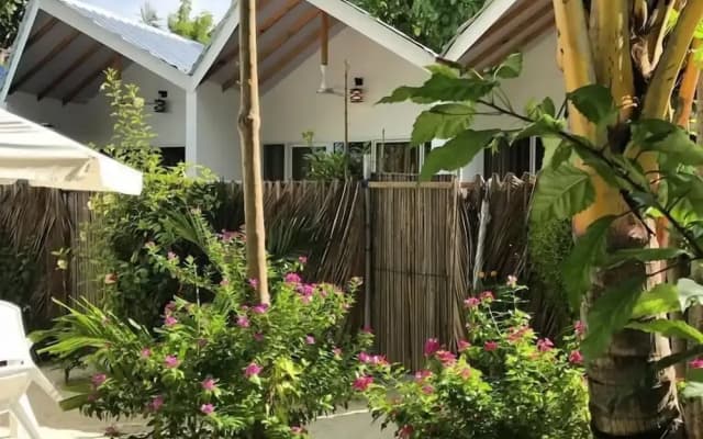 Palm Garden