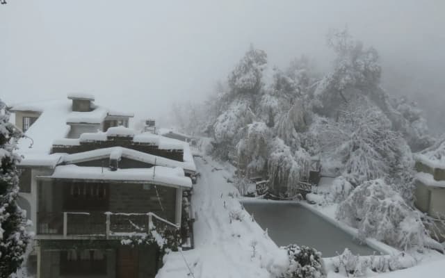 Trishul Orchard Resort