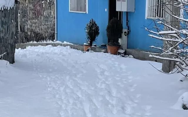 Mavi Ladin Konukevi